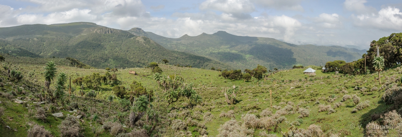 [Group 25]-DSC 7212 DSC 7214-3 images